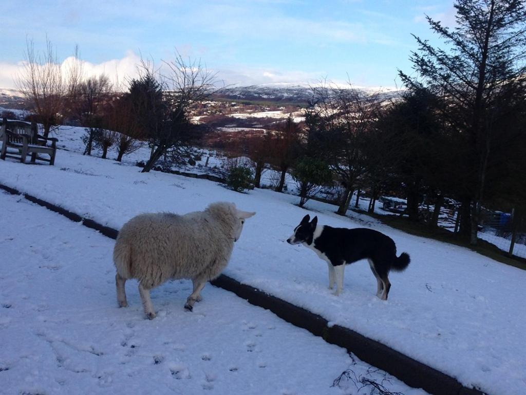 Torran B & B Ullapool Buitenkant foto